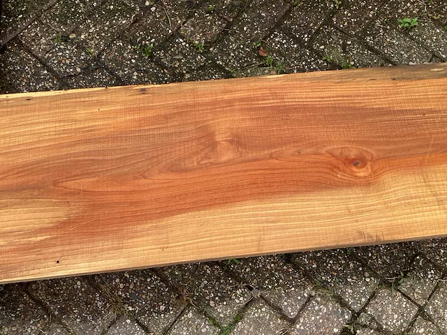Els (2x) - afbeelding 7 van  8