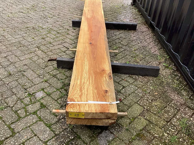 Els (2x) - afbeelding 8 van  8