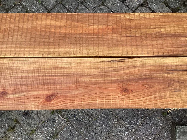 Els (6x) - afbeelding 7 van  8