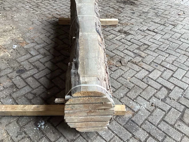 Els kd ovengedroogd 2300x450x490 mm schaaldeel (7x) - afbeelding 4 van  7