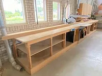 Elu - ras 1603 - werkbank met ingebouwde radiaalzaag en schuurmachine - afbeelding 6 van  13