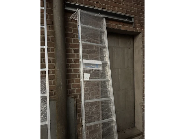 Enkele ladder met gefelste sporten 8 sporten zarges, stella l 41512 - afbeelding 2 van  3