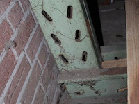 Enkelzijdige draagarmstelling vink lisse met 3x 3 armen met lengte 100 cm. hoogte 250 cm. let op: ophalen n... - afbeelding 3 van  4