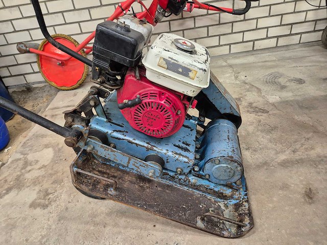 Errut trilplaat - afbeelding 2 van  5