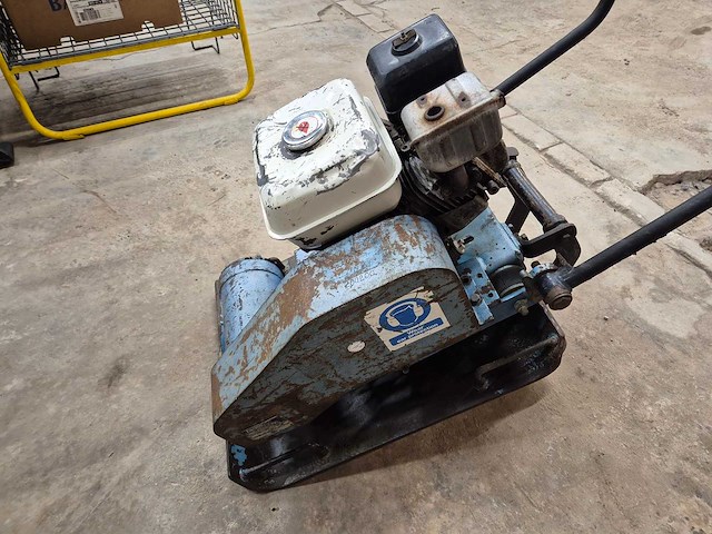 Errut trilplaat - afbeelding 3 van  5