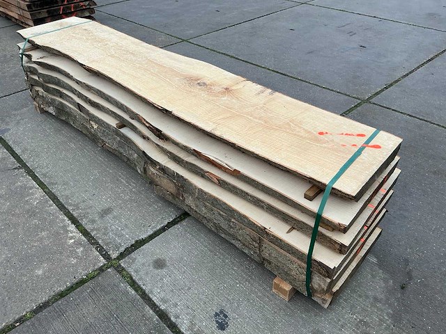 Es (0,470 m3) - afbeelding 5 van  10