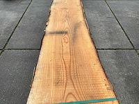 Es (0,470 m3) - afbeelding 7 van  10