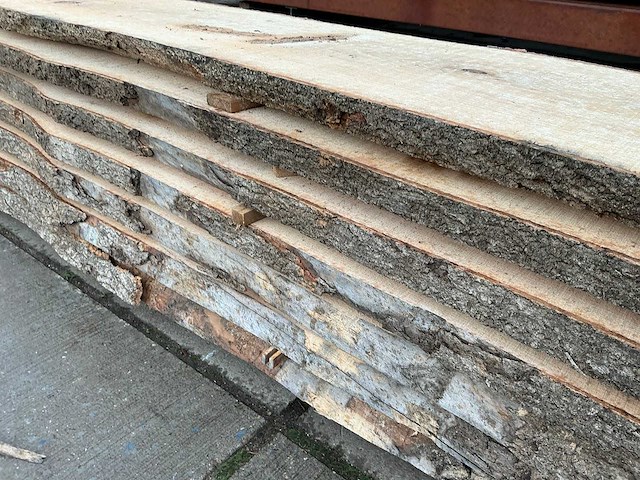 Es (0,490 m3) - afbeelding 10 van  11