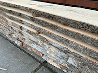 Es (0,490 m3) - afbeelding 10 van  11