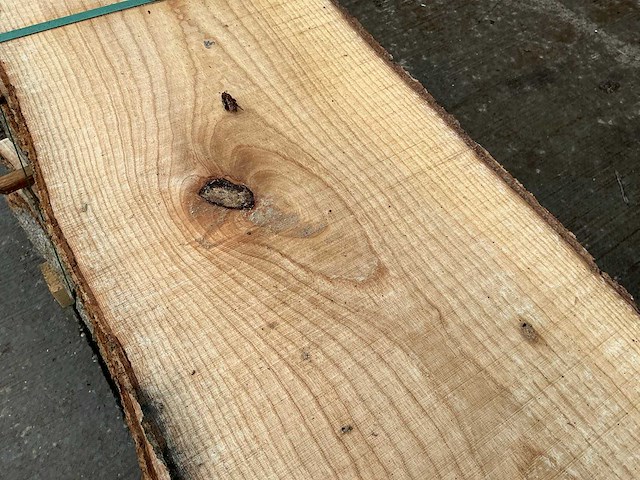 Es (0,490 m3) - afbeelding 11 van  11