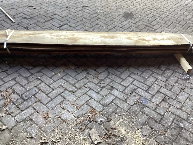Es kd ovengedroogd 3500x430x160 mm schaaldeel (3x) - afbeelding 2 van  5
