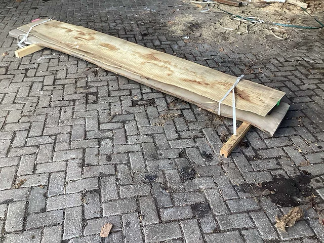 Es kd ovengedroogd 3500x430x160 mm schaaldeel (3x) - afbeelding 5 van  5
