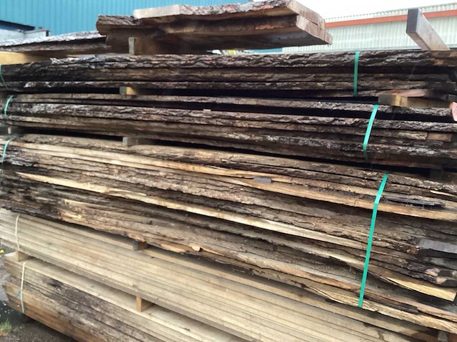 Essen - 323x120x117 cm - schaaldelen (78x) - afbeelding 2 van  3