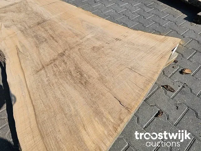 Essen boomstamblad ovengedroogd 218cm breedte 70-120cm dikte 6cm - afbeelding 3 van  6
