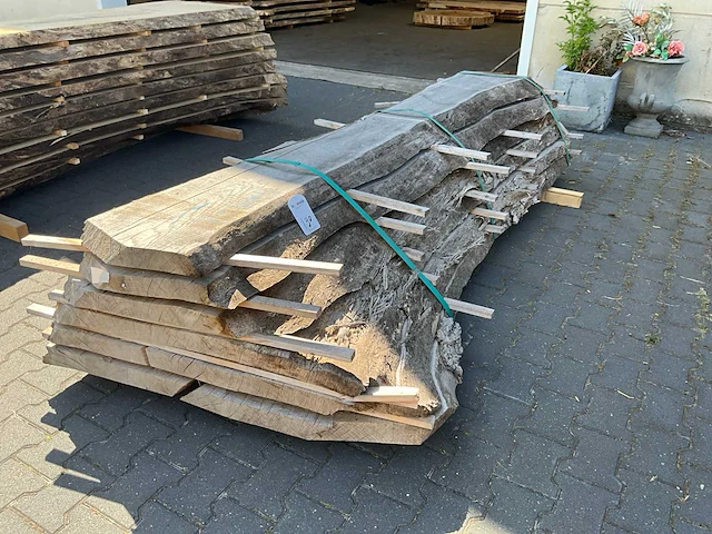 Essen schaaldelen ovengedroogd (60mm) (6x) - afbeelding 1 van  5