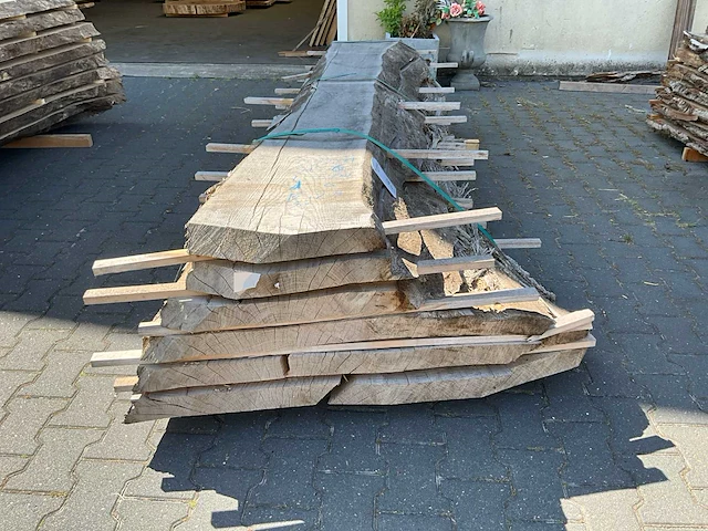 Essen schaaldelen ovengedroogd (60mm) (6x) - afbeelding 2 van  5