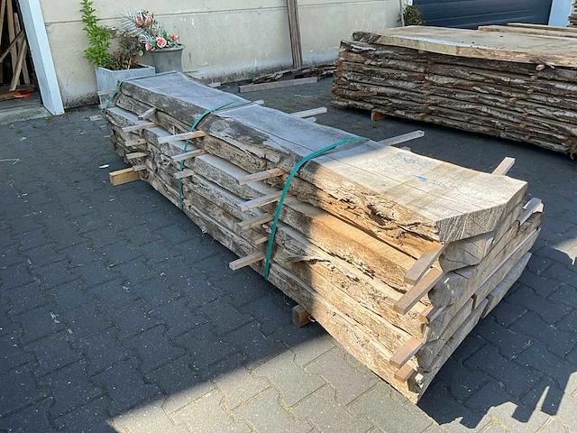 Essen schaaldelen ovengedroogd (60mm) (6x) - afbeelding 3 van  5