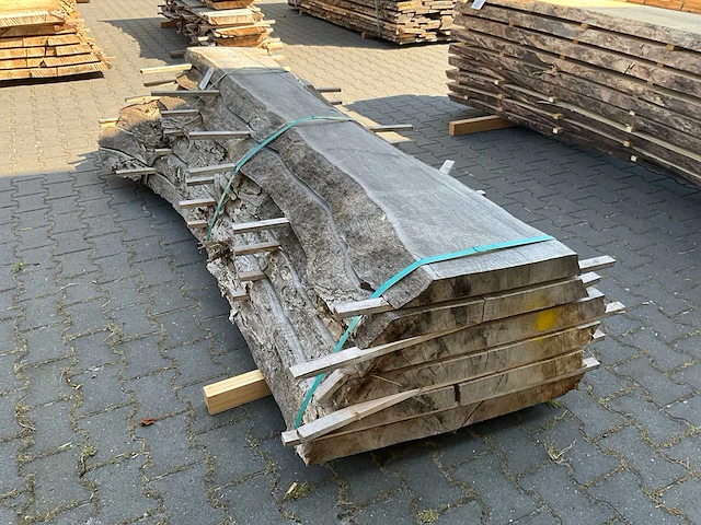 Essen schaaldelen ovengedroogd (60mm) (6x) - afbeelding 4 van  5
