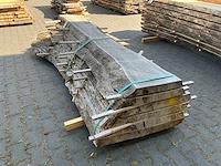 Essen schaaldelen ovengedroogd (60mm) (6x) - afbeelding 4 van  5