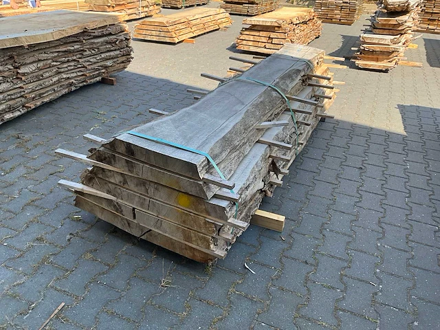 Essen schaaldelen ovengedroogd (60mm) (6x) - afbeelding 5 van  5