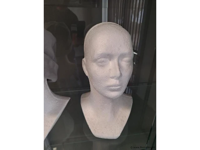 Etalage mannequin hoofden - afbeelding 5 van  5