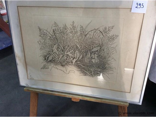 Ets a cools - afbeelding 1 van  4