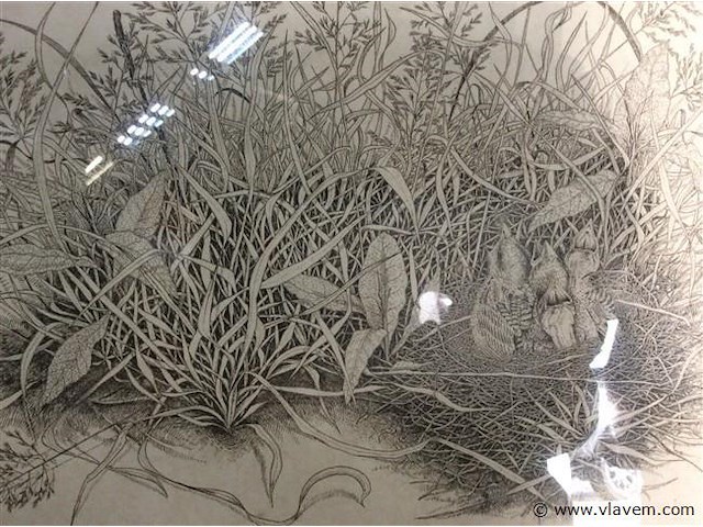 Ets a cools - afbeelding 2 van  4