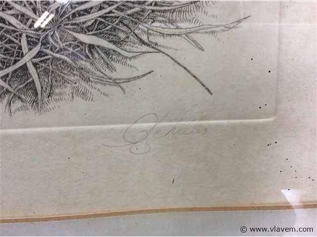 Ets a cools - afbeelding 3 van  4