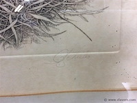 Ets a cools - afbeelding 3 van  4