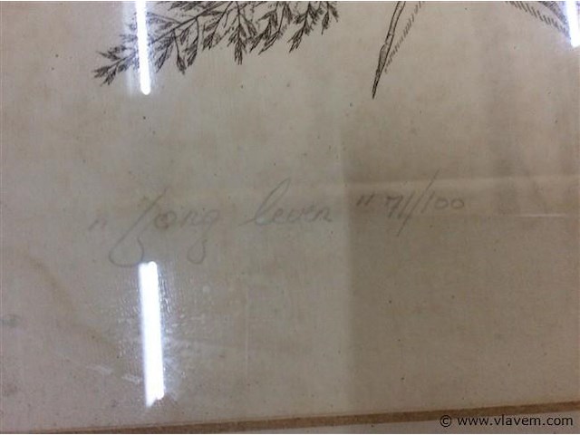 Ets a cools - afbeelding 4 van  4