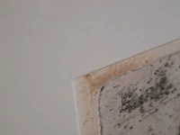 Ets, a.p.m. engels-braat, karkas 4/25 - afbeelding 8 van  10