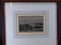 Ets. chasse á la macreuse en bateau - afbeelding 1 van  5