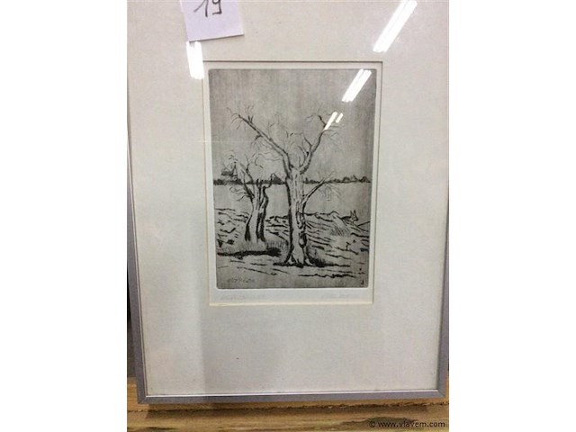 Ets droge naald getekend - afbeelding 1 van  3