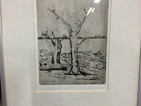 Ets droge naald getekend - afbeelding 1 van  3