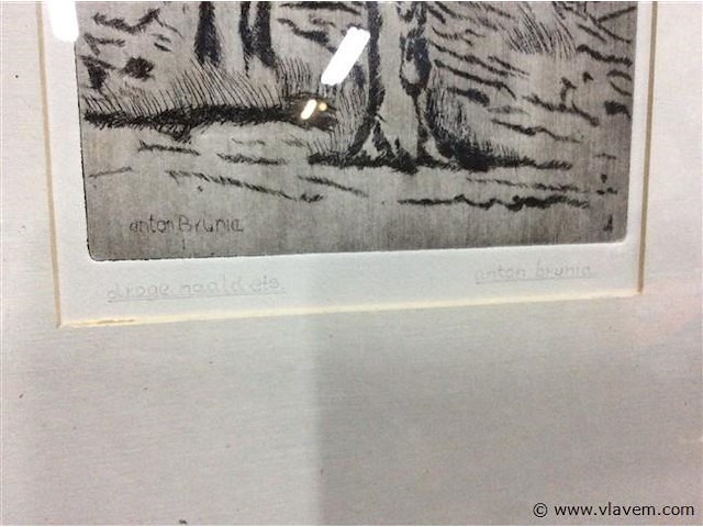 Ets droge naald getekend - afbeelding 2 van  3