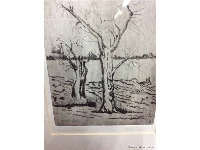 Ets droge naald getekend - afbeelding 3 van  3