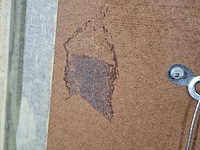 Ets, k. spermon, "en gelachen dat we hebben" 15/20, 1974 - afbeelding 3 van  11