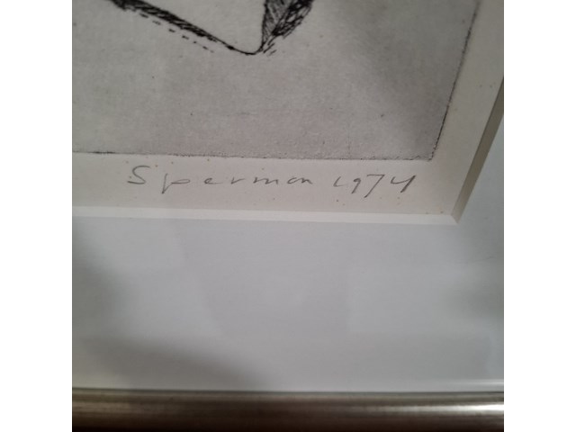 Ets, k. spermon, "en gelachen dat we hebben" 15/20, 1974 - afbeelding 6 van  11