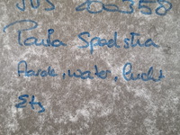 Ets, paula spoelstra, aarde, water, lucht - afbeelding 7 van  15