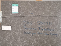 Ets , susanne fiebelkorn, duizend jaar later, 1996 - afbeelding 2 van  10