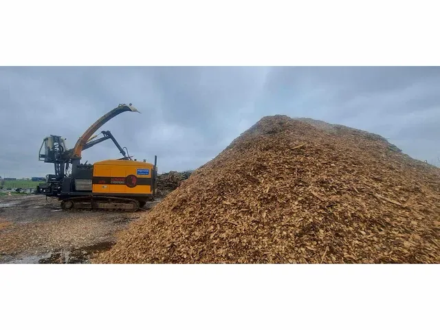 Europe chipper 1175 houthakselaar - afbeelding 15 van  19