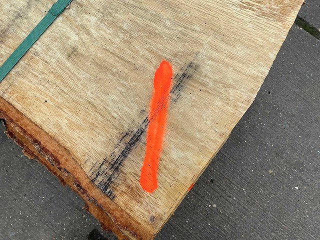 Europees eik (0,318 m3) - afbeelding 2 van  10