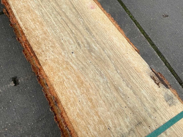 Europees eik (0,318 m3) - afbeelding 8 van  10