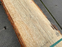 Europees eik (0,318 m3) - afbeelding 8 van  10