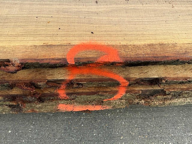 Europees eik (0,428 m3) - afbeelding 3 van  11