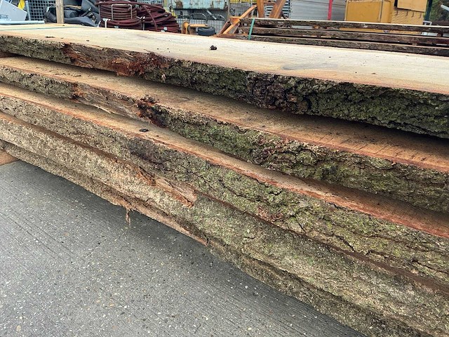 Europees eik (0,428 m3) - afbeelding 10 van  11