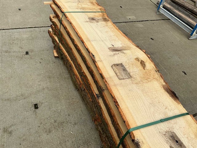 Europees eik (0,867 m3) - afbeelding 9 van  10