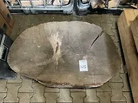 Europees eiken boomstamschijf, gedroogd - afbeelding 2 van  2