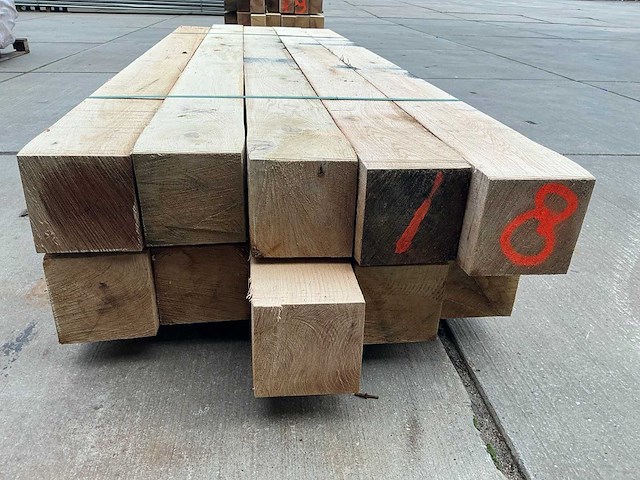 Europees eiken paal (10x) - afbeelding 2 van  9