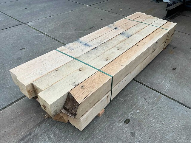 Europees eiken paal (10x) - afbeelding 4 van  9